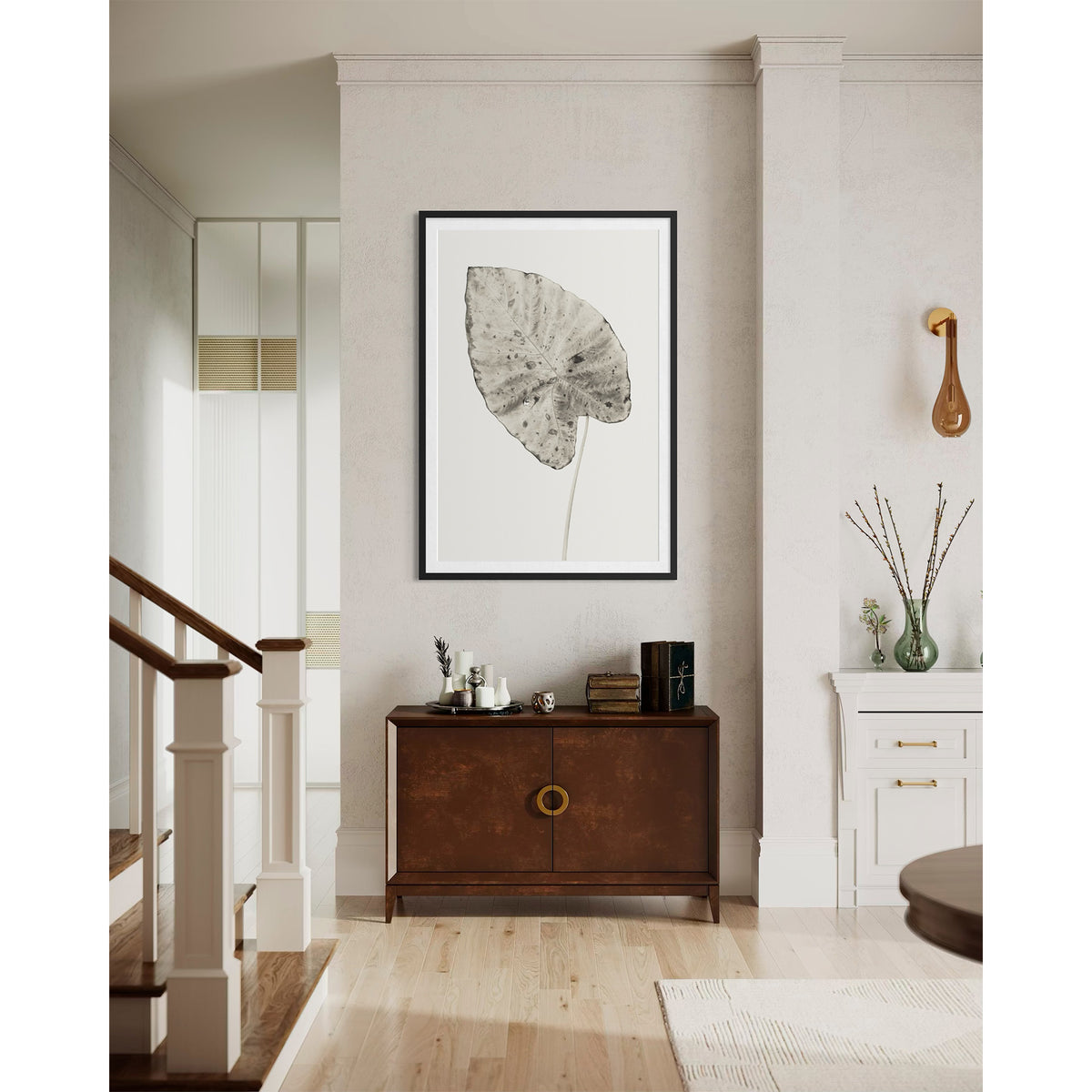 Elephant Ear 5