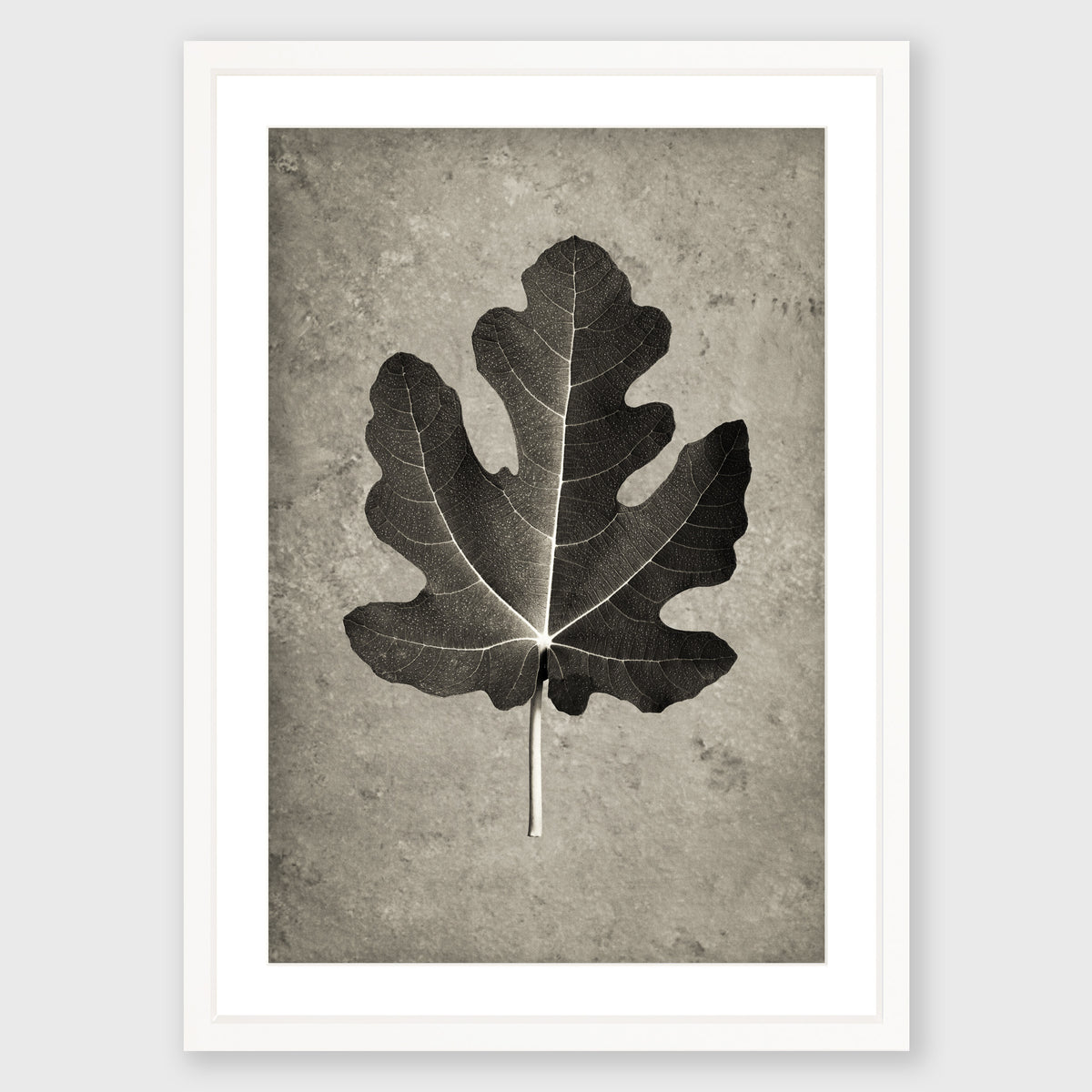 Fig Leaf 4