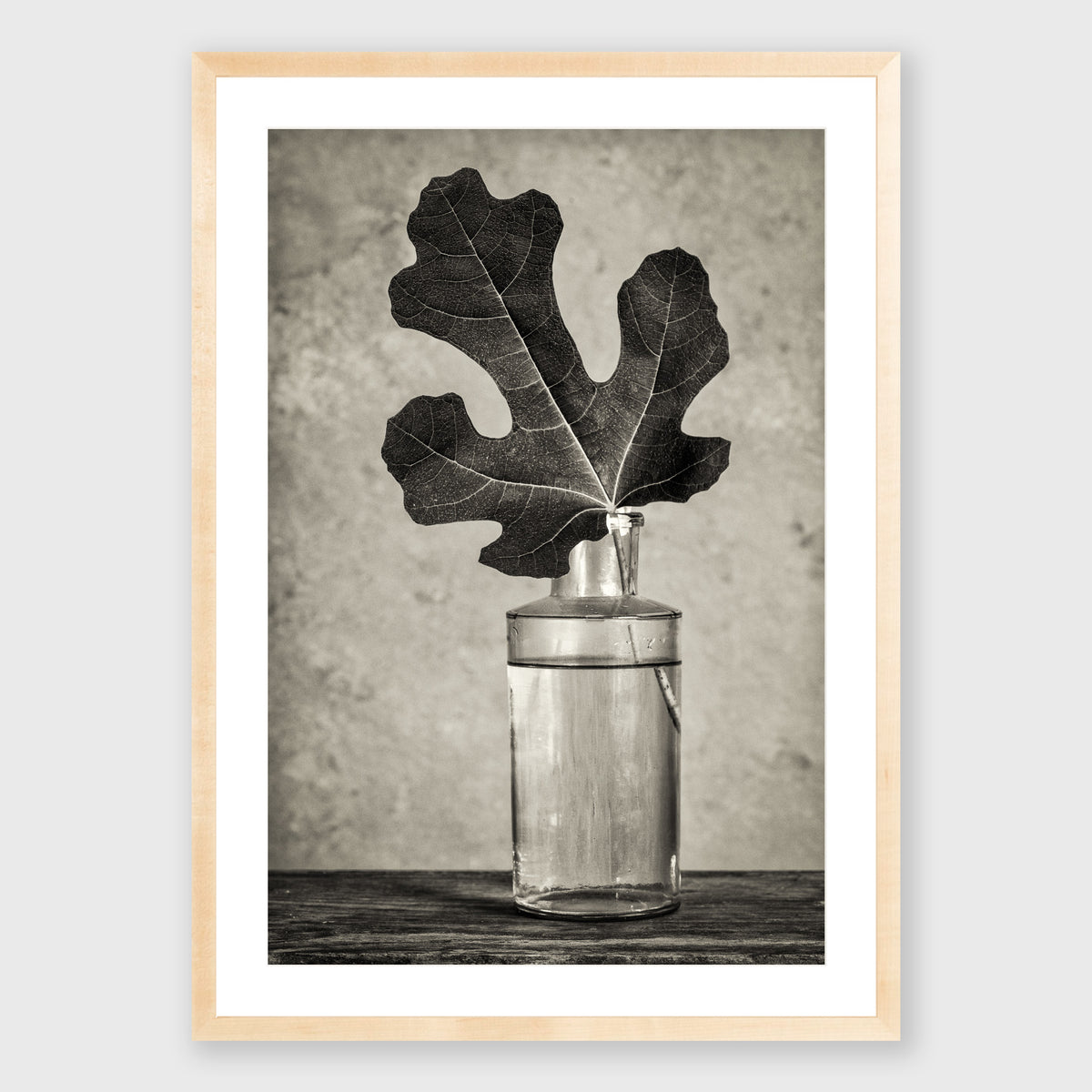 Fig Leaf 13