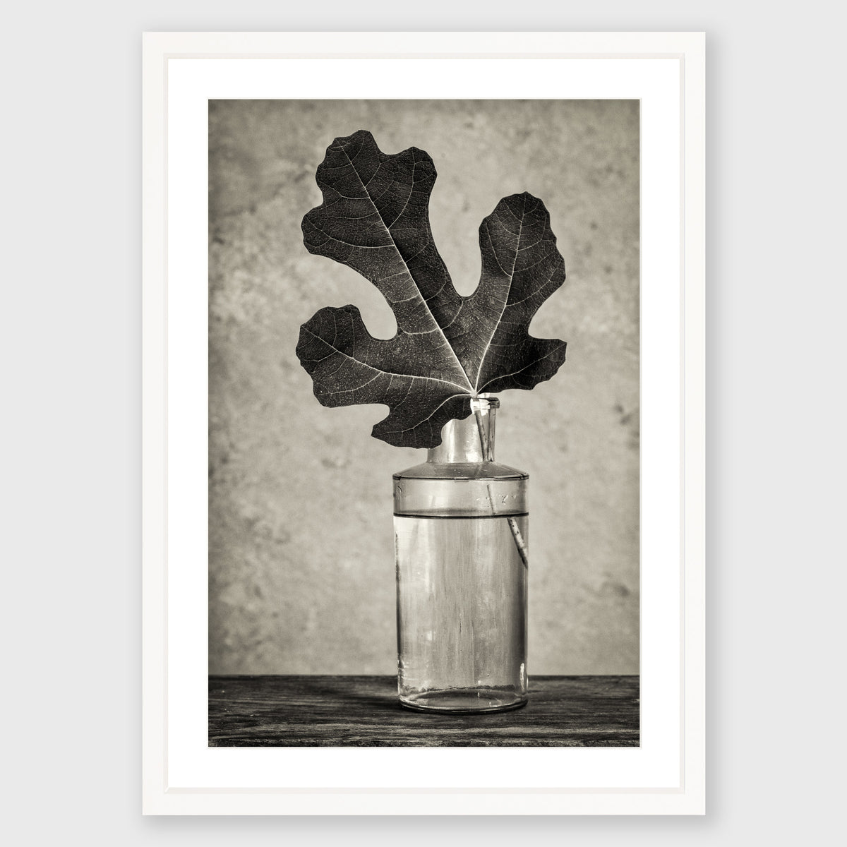 Fig Leaf 13