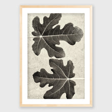 Load image into Gallery viewer, Fig_1