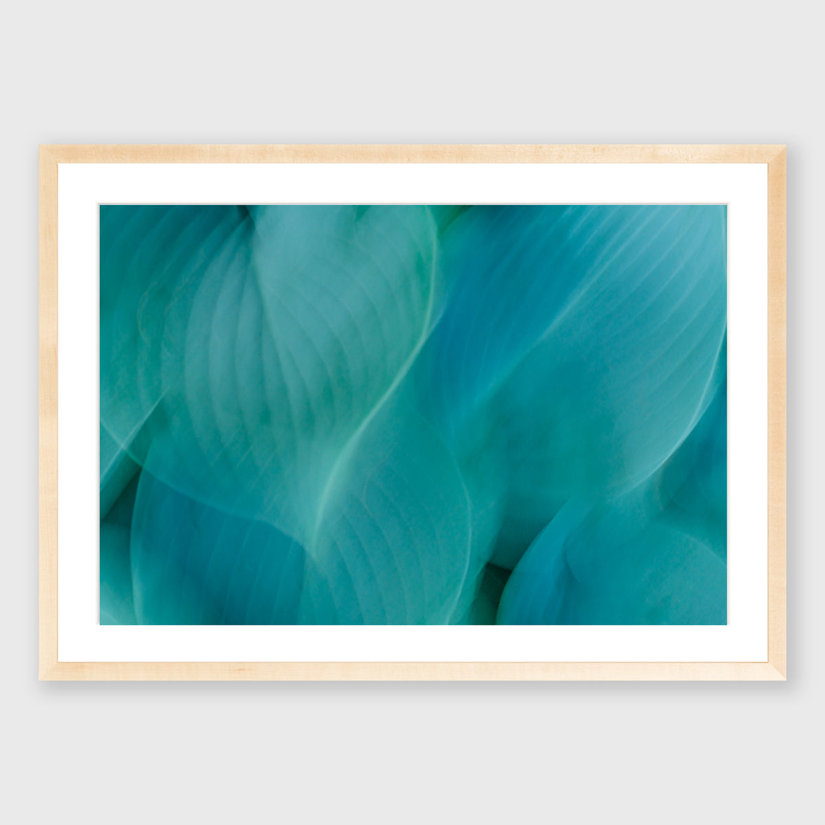 Hosta Blur 2