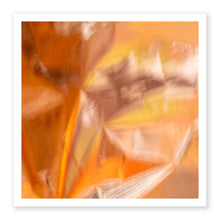 Load image into Gallery viewer, Orange 1