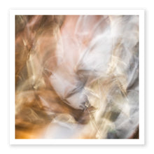 Load image into Gallery viewer, Tin 3