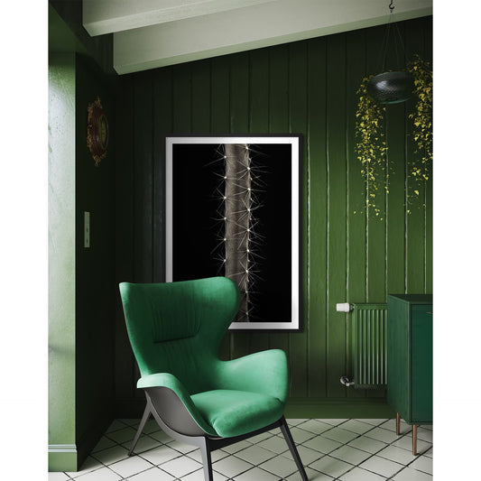 Dog Tail Cactus