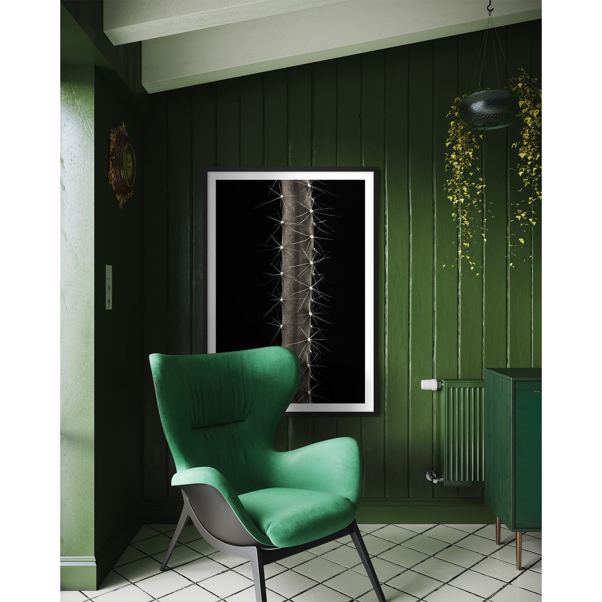 Dog Tail Cactus
