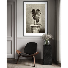 Load image into Gallery viewer, Solo Elephant Ear