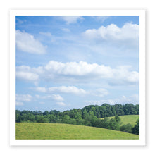 Load image into Gallery viewer, Fields