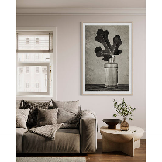 Fig Leaf 13