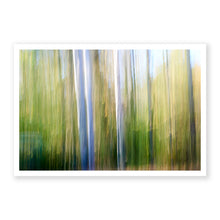 Load image into Gallery viewer, Appalachian Fall 3