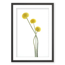 Load image into Gallery viewer, Brass Buttons 1