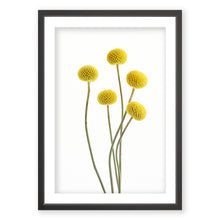 Load image into Gallery viewer, Brass Buttons 2