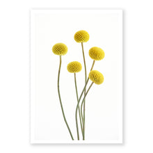 Load image into Gallery viewer, Brass Buttons 2