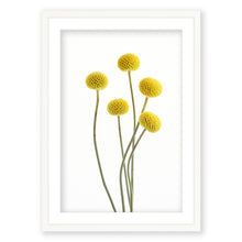 Load image into Gallery viewer, Brass Buttons 2