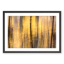 Load image into Gallery viewer, Appalachian Fall 14