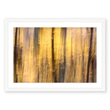 Load image into Gallery viewer, Appalachian Fall 14