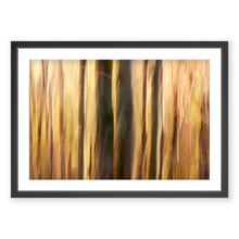 Load image into Gallery viewer, Appalachian Fall 15