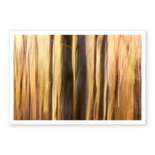 Load image into Gallery viewer, Appalachian Fall 15