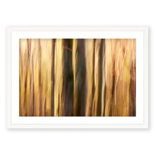 Load image into Gallery viewer, Appalachian Fall 15