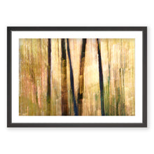 Load image into Gallery viewer, Appalachian Fall 16