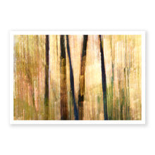 Load image into Gallery viewer, Appalachian Fall 16