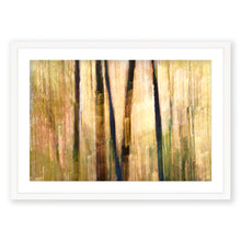 Load image into Gallery viewer, Appalachian Fall 16