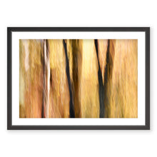 Load image into Gallery viewer, Appalachian Fall 17