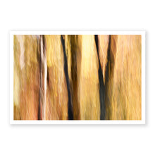 Load image into Gallery viewer, Appalachian Fall 17