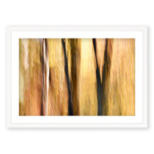 Load image into Gallery viewer, Appalachian Fall 17