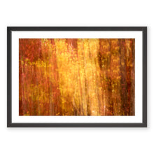 Load image into Gallery viewer, Appalachian Fall 5

