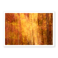Load image into Gallery viewer, Appalachian Fall 5