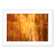 Load image into Gallery viewer, Appalachian Fall 5
