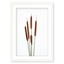 Load image into Gallery viewer, Cattails 1