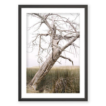 Load image into Gallery viewer, Marsh Guardian