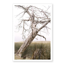 Load image into Gallery viewer, Marsh Guardian