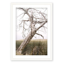 Load image into Gallery viewer, Marsh Guardian