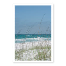 Load image into Gallery viewer, Emerald Coast
