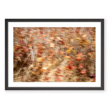 Load image into Gallery viewer, Appalachian Fall 1