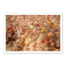 Load image into Gallery viewer, Appalachian Fall 1