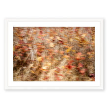 Load image into Gallery viewer, Appalachian Fall 1