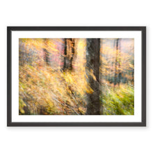 Load image into Gallery viewer, Appalachian Fall 2