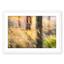 Load image into Gallery viewer, Appalachian Fall 2

