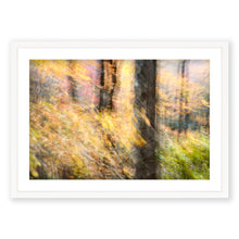 Load image into Gallery viewer, Appalachian Fall 2