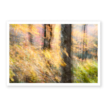 Load image into Gallery viewer, Appalachian Fall 2