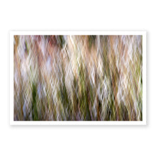 Load image into Gallery viewer, Appalachian Fall 4