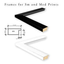 Load image into Gallery viewer, Palm No. 5