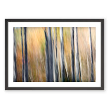 Load image into Gallery viewer, Appalachian Fall 8