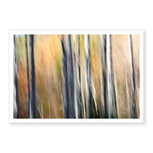 Load image into Gallery viewer, Appalachian Fall 8

