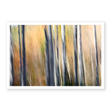 Load image into Gallery viewer, Appalachian Fall 8
