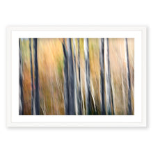 Load image into Gallery viewer, Appalachian Fall 8